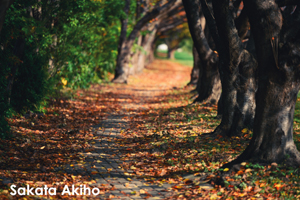 sshiroishigawa_apr_2018_08lr