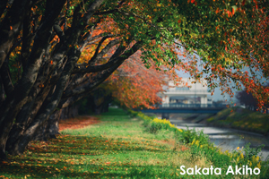 ssendai_nov_2008_06lr