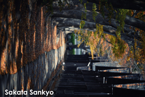 skajyo_oct_2009_16lr