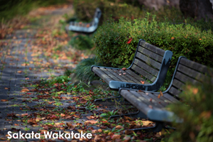 somoriyama_jul_2015_13lr