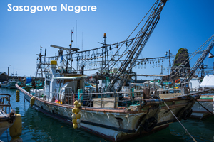 somoriyama_jan_2013_05lr