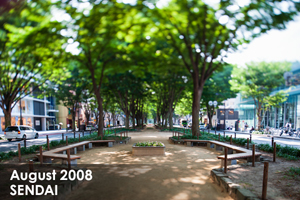 syagiyama_nov_2008_07lr