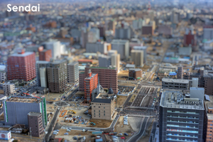 sanimalneeds_nov_2008_03lr