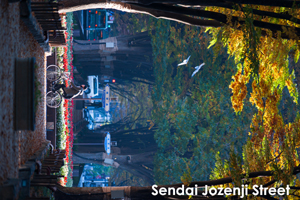 shaneda_jan_2019_01lr