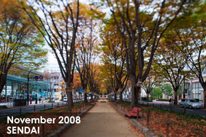 snobiru_jan_2013_04lr