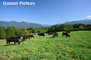 somoriyama_jul_2015_13lr