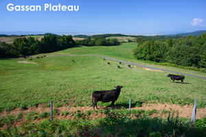 somoriyama_sep_2013_11lr