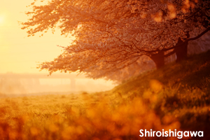 sshiroishigawa_apr_2008_18lr