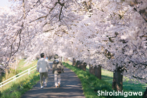 sshiroishigawa_apr_2010_24lr