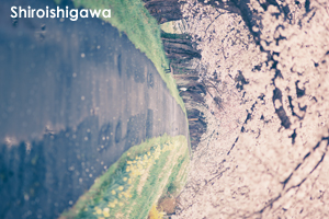 sshiroishigawa_apr_2018_08lr