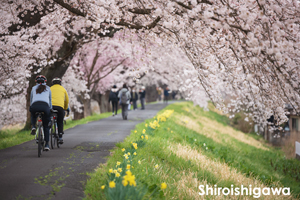 somoriyama_jul_2015_13lr