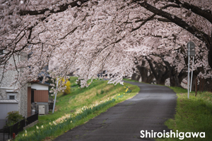 somoriyama_sep_2013_11lr