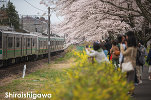 somoriyama_jan_2013_05lr