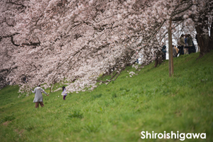 somoriyama_aug_2009_19lr