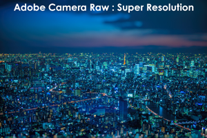 somoriyama_jan_2013_05lr