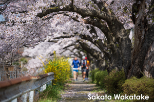 somoriyama_jul_2015_13lr