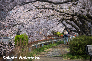 skitakami_may_2011_11lr