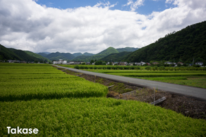 somoriyama_jul_2015_13lr