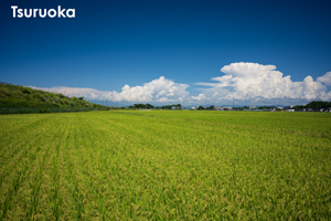 somoriyama_sep_2013_11lr