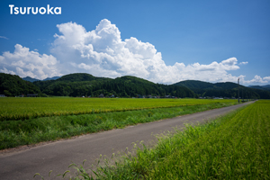 somoriyama_aug_2009_19lr