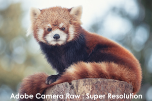 sshiroishigawa_apr_2018_08lr