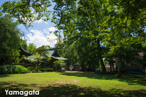 ssendai_nov_2008_06lr