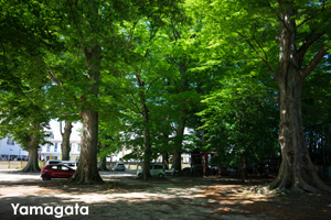 sshiroishigawa_apr_2012_08lr