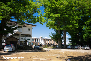 skitakami_may_2011_11lr