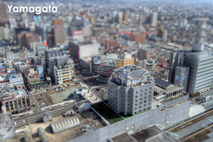 sanimalneeds_jul_2008_07lr