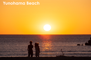 szaofoxvillage_dec_2015_10lr