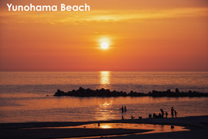 ssasagawanagare_jun_2020_01@1x