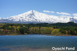 sshiroishigawa_apr_2012_08lr