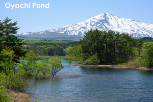 sshiroishigawa_apr_2012_08lr