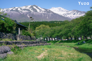 somoriyama_jul_2015_13lr