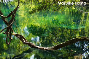 sshiroishigawa_apr_2016_02lr