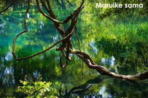 sshiroishigawa_apr_2008_18lr