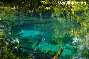 skannonjigawa_jul_2018_04lr