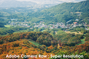 somoriyama_sep_2013_11lr