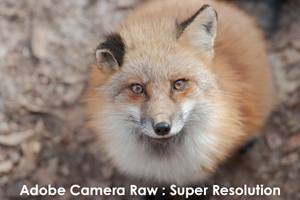 sshiroishigawa_apr_2012_08lr