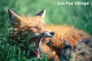 somoriyama_jul_2015_10lr