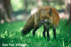 somoriyama_aug_2009_19lr