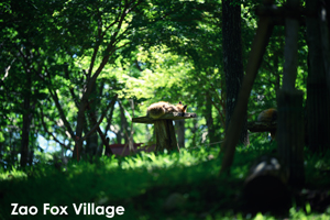 ssendai_nov_2008_06lr