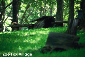 ssendai_nov_2008_06lr