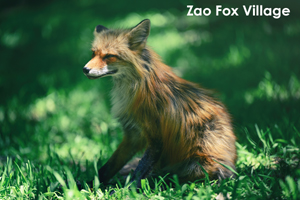 skitakami_may_2011_11lr