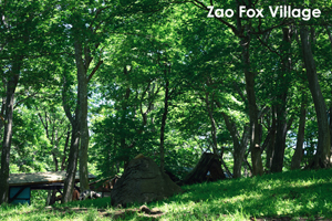 somoriyama_aug_2009_19lr