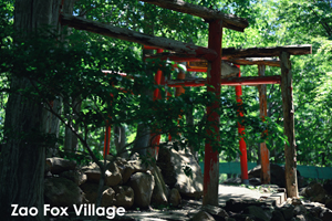 somoriyama_jul_2015_13lr