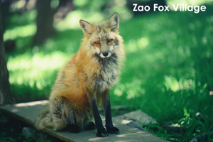 sshiroishigawa_apr_2018_08lr