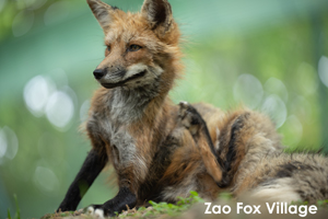 somoriyama_sep_2013_11lr