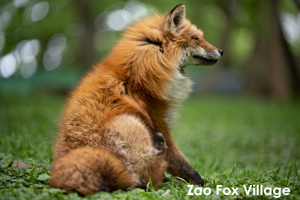 somoriyama_jul_2015_13lr