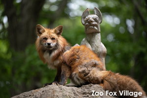 somoriyama_jul_2015_10lr